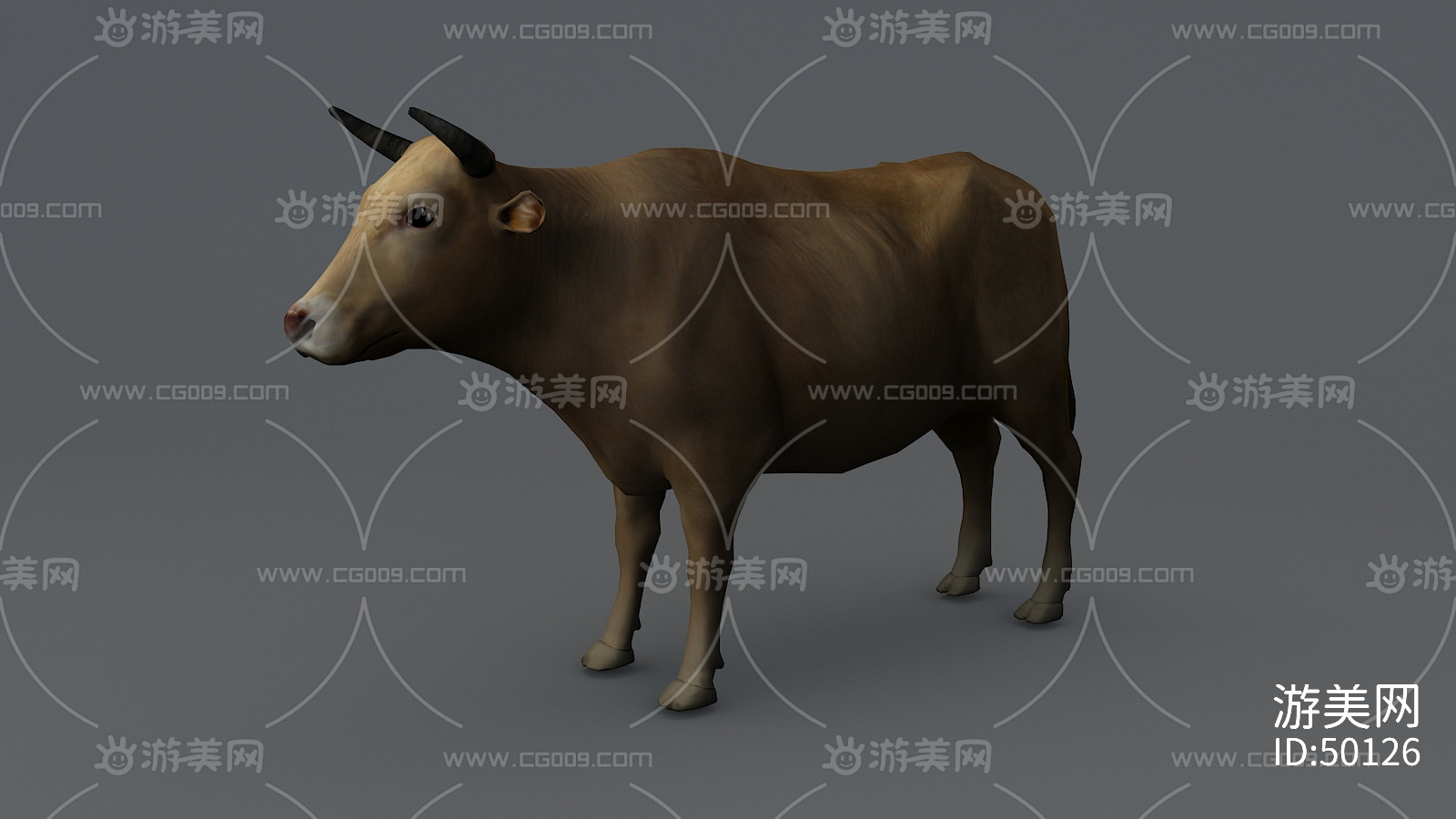黄牛 牛的内脏器官 牛的骨骼 牛内脏 老黄牛 哺乳动物