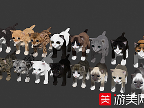 16只小猫咪合集写实可爱的小猫模型下载