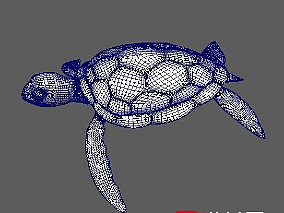 maya写实海龟高模下载