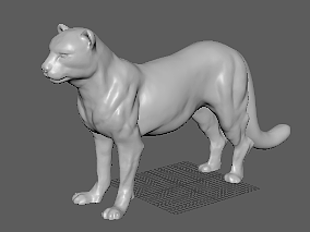 猎豹 豹子STL打印模型