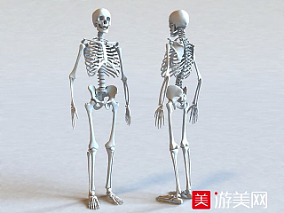 骷髅怪 医疗人体骨骼标本3Dmax模型下载