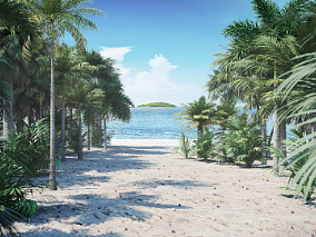 树 树木 植物 草木 棕榈树 沙滩树 各个类型棕榈树合集