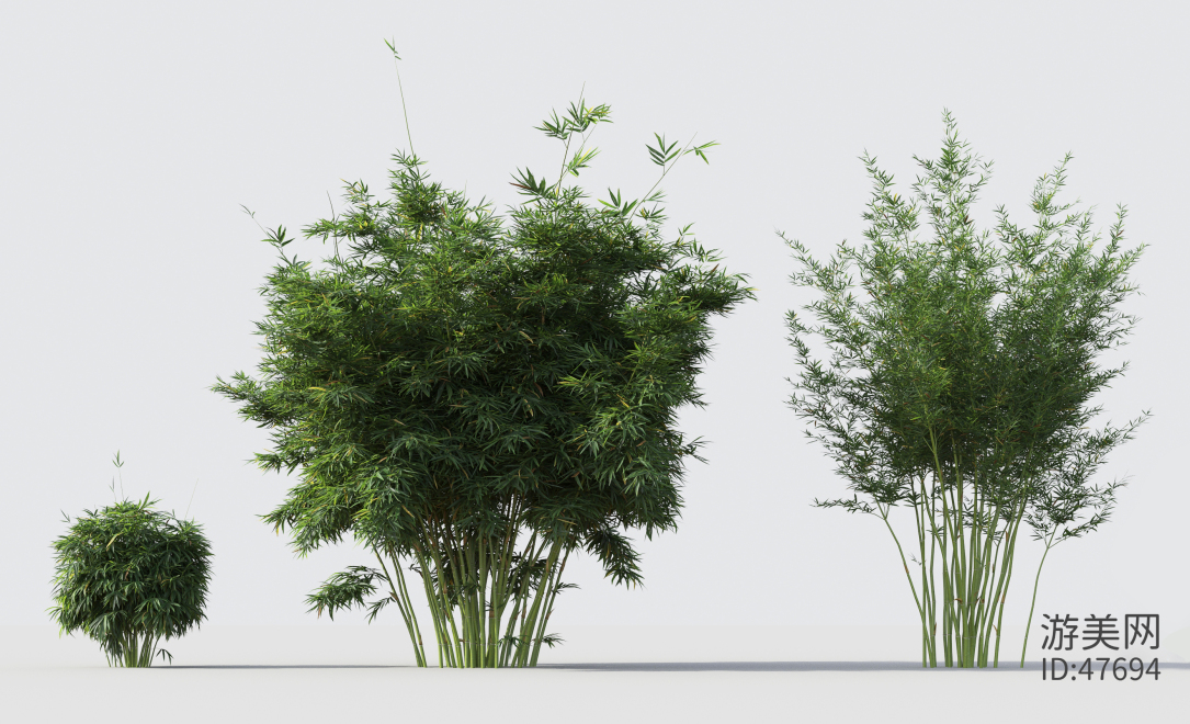 现代绿植竹子组合