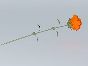 一支玫瑰   玫瑰花cg模型