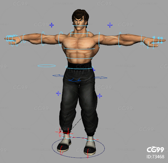 maya绑定李小龙 肌肉男 格斗战士模型带权重贴图