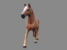 动物3d模型 马3d模型