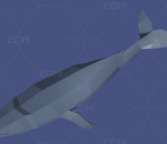 低聚卡通 带动画鲸鱼 海底 鱼类