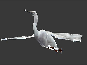 白鹭2【带骨骼动画】3D模型