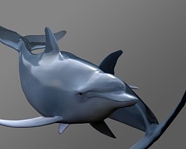 海豚【带骨骼绑定】3D模型