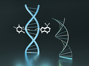 DNA模型 场景