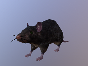 GTA5老鼠