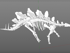 兽骨模型 骨头模型 骷髅模型 骨架模型 恐龙模型 3d模型