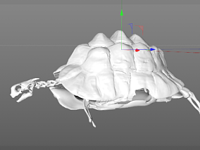 兽骨模型 骨头模型 骷髅模型 骨架模型 乌龟骨架模型 3d模型