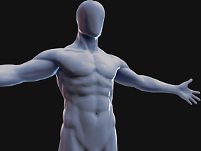 基本人体模型 男性人体