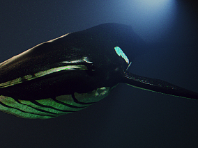蓝鲸  鲸鱼 3d模型