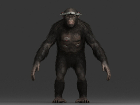 黑猩猩 猩球崛起 凯撒 2K贴图 三种纹理 灵长类动物 3d模型