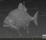 影视级 高质量的食人鱼 四种纹理的亚马逊水虎鱼 带绑定的鱼类