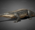 鳄鱼 史前巨鳄 写实鳄鱼 两栖动物