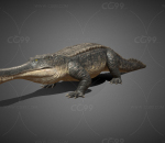 鳄鱼 史前巨鳄 写实鳄鱼 两栖动物