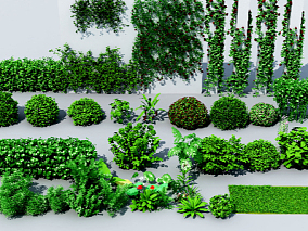 现代花草 植物 灌木 3d模型