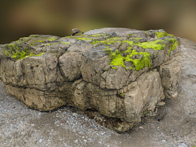 岩石、石头、苔藓岩石、在岩石海滩扫描的苔藓岩石
