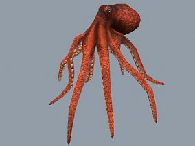 动画 章鱼 骨骼绑定动画 次世代 Octopus 软体动物 海洋生物