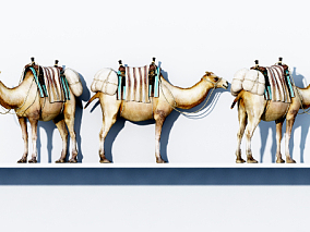 现代骆驼