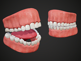 PBR 牙齿 口腔 人体模型 医用牙齿口腔 舌头 牙齿 牙龈 牙床 3d模型
