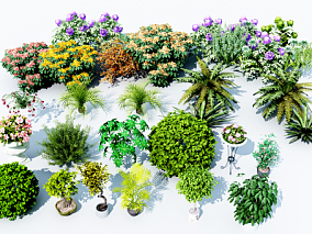 现代花草树木 植物 3d模型