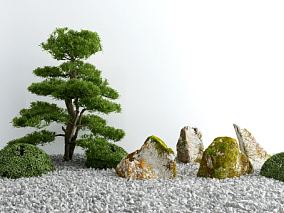 中式景观 新中式景观 松树 石头 长满苔藓的石头