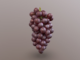 水果 紫色大葡萄 一串葡萄 葡萄