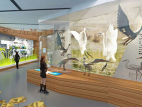 动物植物展厅，绿色森林，艺术装置，中国地质馆，自然博物馆，动植物标本展厅