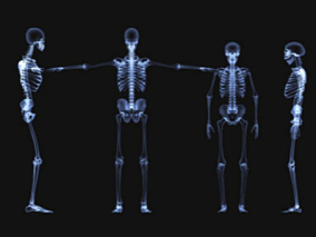 医学动画 人体骨骼 X光片 CT透视 拍片 医学模型 小白 骨骼系统，人体解剖 骨科 骨折