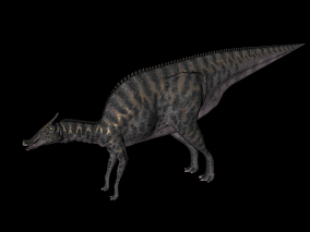 恐龙 草食龙 副栉龙 古龙 远古生物 虚拟现实 侏罗纪 三叠纪 白垩纪恐龙绑定