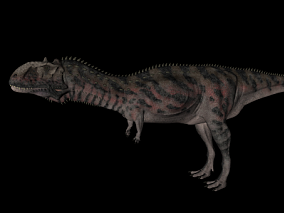 玛君龙 恐龙 白垩纪恐龙绑定