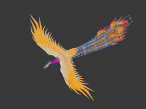 凤凰 一只很精细的凤凰带骨骼带动画 有飞行动画