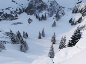雪山 滑雪第一人称视角 雪山 雪山峰 雪山脉 雪景 滑雪比赛 滑雪场 滑冰场 雪橇 滑冰 冰雪世界
