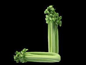绿色有机蔬菜3D素材 芹菜 莴苣 卡通 Q版 低面 广告栏目包装素材 3D卡通元素