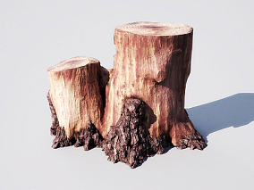 大树根模型 树桩模型 枯树根 (2)