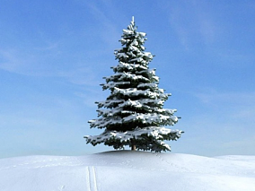 雪树模型冬天的树 枯树