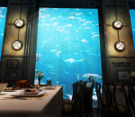 海底餐厅 工业风餐厅 西餐厅 酒吧 咖啡厅 自助餐厅 快餐店 米其林星级餐厅