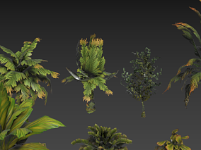 魔幻植物 外星植物 奇异奇特花草植物绿化带模型