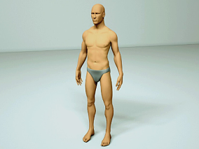 男性 人物模型 建模 人体 肌肉 参考