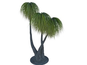 日本棕榈树 3D模型 热带植物 植物 树木