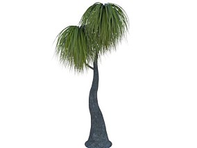 小型棕榈树 贝叶棕族 棕榈树 树木 FBX模型