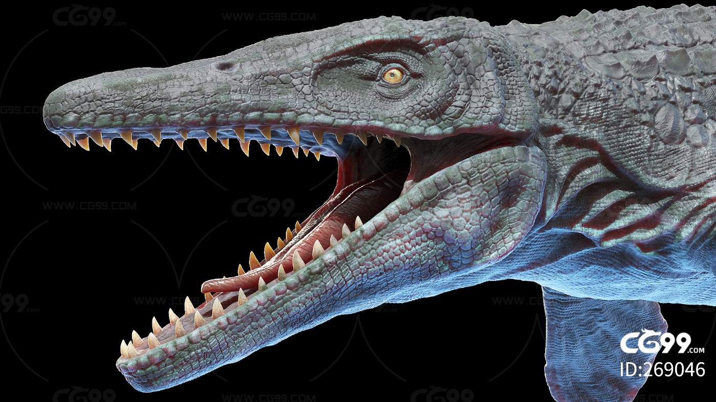 世界鳄鱼日 | 从恐龙时代幸存至今，鳄鱼到底还有多少秘密？ _www.isenlin.cn