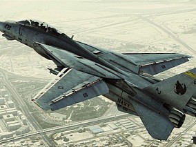 F-14D 超级雄猫战斗机
