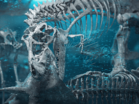 骨架工程 骨架模型 兽骨工程 兽骨 恐龙 化石