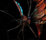 外星人 昆虫 蝴蝶 动物 怪物 天体生物学
