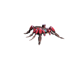 红紫色魔族蜘蛛